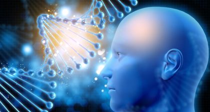Therapeutic Plasma Exchange Reduces Biological Age