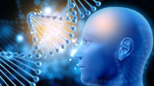 Therapeutic Plasma Exchange Reduces Biological Age
