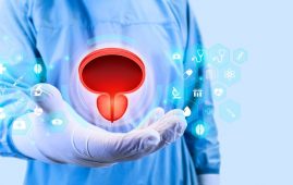 Cell Painting Identifies Flavonoids for Bladder Cancer