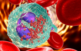 Cancer cell memory, Chemotherapy effectiveness, Chromatin reprogramming, Chemotherapy resistance, Epigenetic regulation, Chromatin packing domains, Transcriptional memory, Celecoxib combination, Ovarian cancer model, Tumor growth inhibition, Gene expression memory, 3D genome architecture, Biomedical engineering, Chromatin conformation, Treatment side effects
