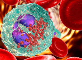 Cancer cell memory, Chemotherapy effectiveness, Chromatin reprogramming, Chemotherapy resistance, Epigenetic regulation, Chromatin packing domains, Transcriptional memory, Celecoxib combination, Ovarian cancer model, Tumor growth inhibition, Gene expression memory, 3D genome architecture, Biomedical engineering, Chromatin conformation, Treatment side effects