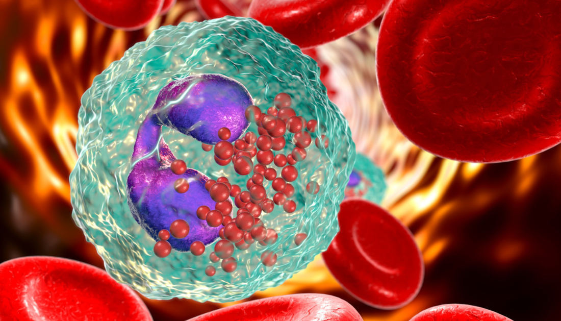 Cancer cell memory, Chemotherapy effectiveness, Chromatin reprogramming, Chemotherapy resistance, Epigenetic regulation, Chromatin packing domains, Transcriptional memory, Celecoxib combination, Ovarian cancer model, Tumor growth inhibition, Gene expression memory, 3D genome architecture, Biomedical engineering, Chromatin conformation, Treatment side effects