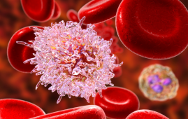 Cancer, Immunotherapy, Oncology news, Medical innovation, Drug complex, Tumor targeting, Healthcare professionals, T cell response, Clinical research, Oncology breakthroughs, Cancer detection, Biologic drugs, Medical news for nurses, Precision cancer care, Immune checkpoint therapy, cancer cells