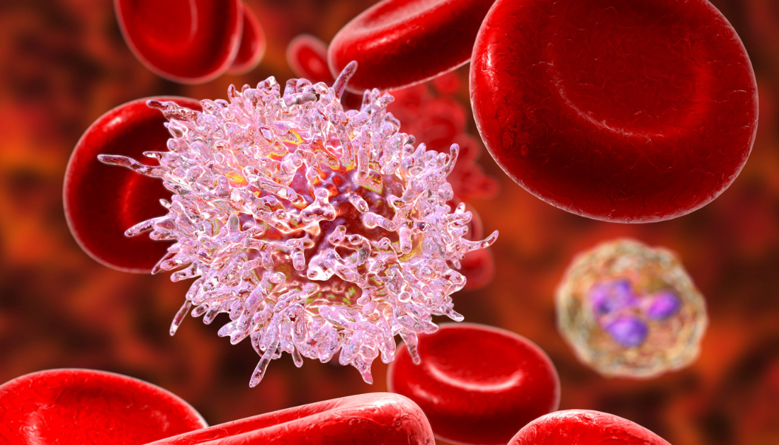 Cancer, Immunotherapy, Oncology news, Medical innovation, Drug complex, Tumor targeting, Healthcare professionals, T cell response, Clinical research, Oncology breakthroughs, Cancer detection, Biologic drugs, Medical news for nurses, Precision cancer care, Immune checkpoint therapy, cancer cells