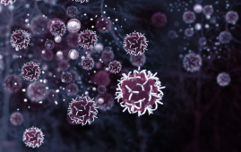 Gecko-inspired nanoparticles, Bladder cancer therapy, Targeted chemotherapy, PLGA particles, Intravesical drug delivery, Tumor-targeted treatment, Biodegradable nanoparticles, Sustained-release chemo, Oncology innovation, Nanotechnology in medicine, Localized cancer treatment, Van der Waals drug adhesion, Soft dendritic structures, Cancer drug delivery, Nature-based biomaterials