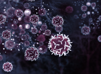 Gecko-inspired nanoparticles, Bladder cancer therapy, Targeted chemotherapy, PLGA particles, Intravesical drug delivery, Tumor-targeted treatment, Biodegradable nanoparticles, Sustained-release chemo, Oncology innovation, Nanotechnology in medicine, Localized cancer treatment, Van der Waals drug adhesion, Soft dendritic structures, Cancer drug delivery, Nature-based biomaterials
