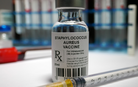 Staphylococcus aureus, MRSA, Metabolic Pathways, Enzyme Redundancy, Bacterial Survival, Antibiotic Resistance, Microbial Physiology, Knockout Mutants, NIH Research, Pathogen Biology, Novel Antibiotics, Microbiology CME, Infectious Disease Updates, Antibiotic Target Discovery, Clinical Research News