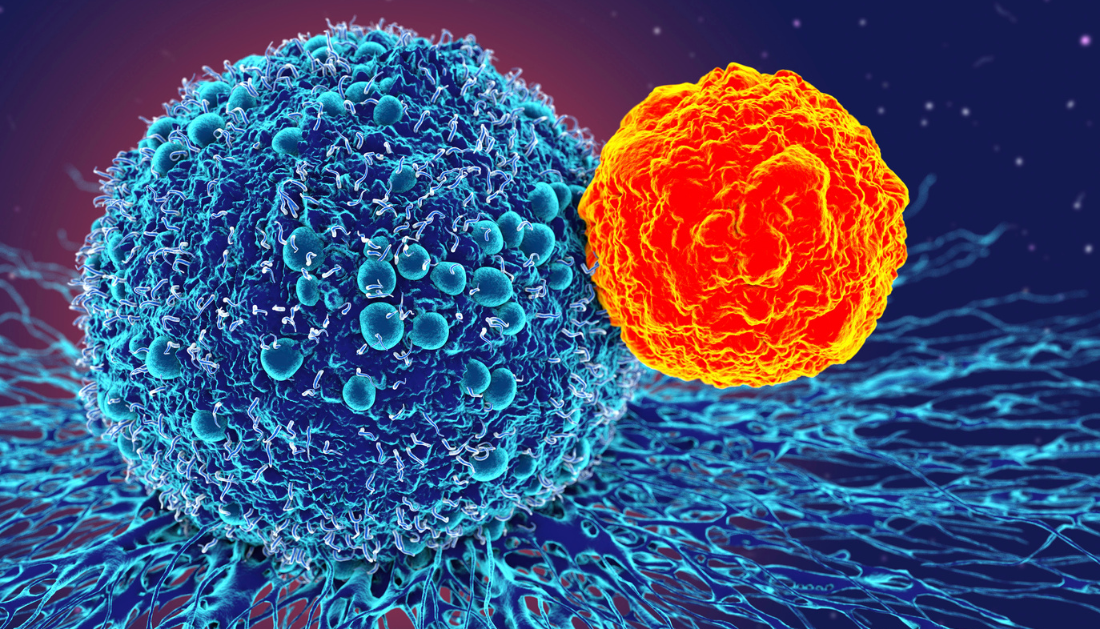 transcription factor, T-bet, memory B cells, plasma cells, antibody production, B cells, germinal centers, somatic mutation, IgM, IgG, lymph nodes, lung memory, single-cell sequencing, gene expression, effector memory B cells, influenza, immune response, adaptive immunity, differentiation, protective immunity