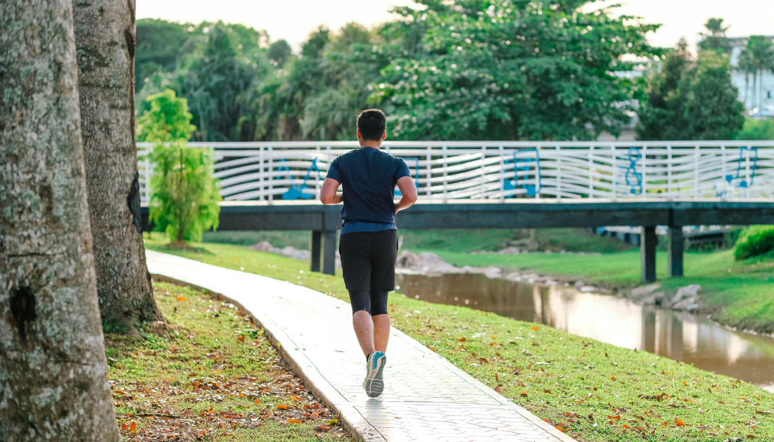 Brisk walking, Fast walking and mortality, Low-income adults health, Cardiovascular disease prevention, Black American health disparities, Walking pace and longevity, 15 minutes walking benefits, All-cause mortality reduction, Southern Community Cohort Study, Physical activity and life expectancy, Accessible public health strategies