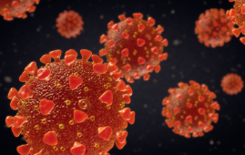 SARS-CoV-2, COVID-19, rhinovirus, common cold, pediatric COVID, HEROS study, interferon response, respiratory viruses, viral interference, immune priming, National Jewish Health, COVID protection, children immunity, respiratory infections, non-invasive research