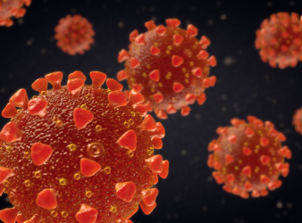 SARS-CoV-2, COVID-19, rhinovirus, common cold, pediatric COVID, HEROS study, interferon response, respiratory viruses, viral interference, immune priming, National Jewish Health, COVID protection, children immunity, respiratory infections, non-invasive research