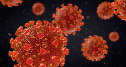SARS-CoV-2, COVID-19, rhinovirus, common cold, pediatric COVID, HEROS study, interferon response, respiratory viruses, viral interference, immune priming, National Jewish Health, COVID protection, children immunity, respiratory infections, non-invasive research