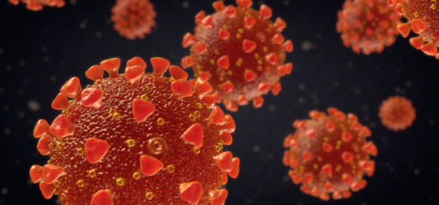 SARS-CoV-2, COVID-19, rhinovirus, common cold, pediatric COVID, HEROS study, interferon response, respiratory viruses, viral interference, immune priming, National Jewish Health, COVID protection, children immunity, respiratory infections, non-invasive research