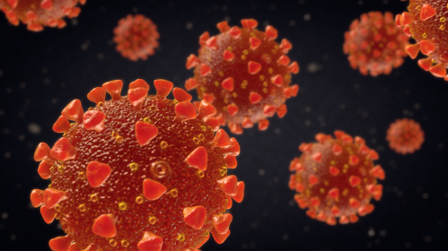 SARS-CoV-2, COVID-19, rhinovirus, common cold, pediatric COVID, HEROS study, interferon response, respiratory viruses, viral interference, immune priming, National Jewish Health, COVID protection, children immunity, respiratory infections, non-invasive research