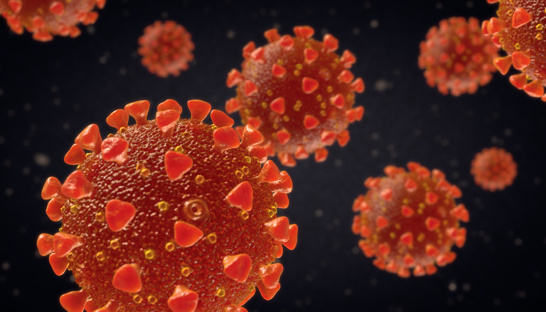 SARS-CoV-2, COVID-19, rhinovirus, common cold, pediatric COVID, HEROS study, interferon response, respiratory viruses, viral interference, immune priming, National Jewish Health, COVID protection, children immunity, respiratory infections, non-invasive research