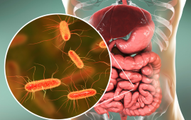 Gut Microbiome, Aging, Cardiovascular Health, ApoM Protein, Macular Degeneration, Inflammation, Age-related Diseases, Gut Health, Blood Type and Gut Bacteria, Mendelian Randomization, Microbiome Research, Probiotics, Chronic Disease, Precision Medicine, Healthy Aging