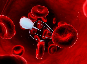 magnetic nanorobots, tumor drug delivery, chemotherapy enhancement, cancer treatment, drug resistance, nanomedicine, oncology innovation, targeted therapy, mechano-killing, nanotechnology, tumor suppression, biomedical engineering, cancer research, doxorubicin, mechanical disruption