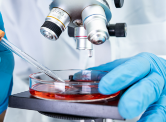 STF-1623, Cancer Immunotherapy, Solid Tumors, ENPP1 Inhibitor, cGAMP, STING Pathway, Oncology, Glioblastoma, Pancreatic Cancer, Colorectal Cancer, Breast Cancer, Tumor Microenvironment, Innate Immunity, Clinical Trials, Cancer Research