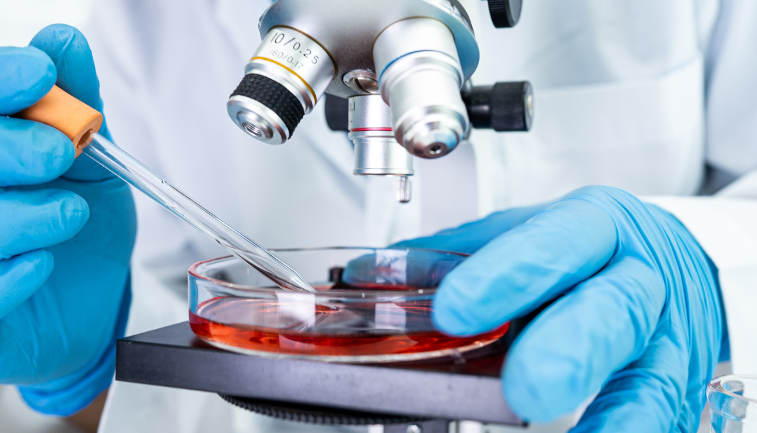 STF-1623, Cancer Immunotherapy, Solid Tumors, ENPP1 Inhibitor, cGAMP, STING Pathway, Oncology, Glioblastoma, Pancreatic Cancer, Colorectal Cancer, Breast Cancer, Tumor Microenvironment, Innate Immunity, Clinical Trials, Cancer Research