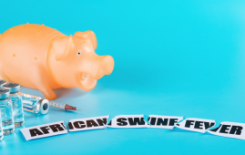 ASF, African Swine Fever, ASF vaccine, swine health, pig farming, ASF detection, ASF Management, mobile biocontainment lab, ASF control, vaccine safety, ASF outbreak Philippines, livestock disease, FAO Philippines, biosecurity, pig disease management, ASF virus strain, ASF prevention