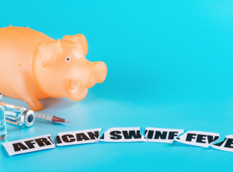 ASF, African Swine Fever, ASF vaccine, swine health, pig farming, ASF detection, ASF Management, mobile biocontainment lab, ASF control, vaccine safety, ASF outbreak Philippines, livestock disease, FAO Philippines, biosecurity, pig disease management, ASF virus strain, ASF prevention