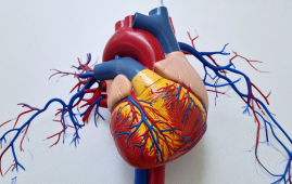 AI ECG Model, STEMI triage, Acute coronary occlusion, Artificial Intelligence in Cardiology, JACC Cardiovascular Interventions, TCT 2025, STEMI diagnosis, Cardiac Emergency, Percutaneous Coronary Intervention, Clinical Triage, False Positives, Cardiovascular AI, ECG Interpretation, Emergency Medicine, eMedEvents News