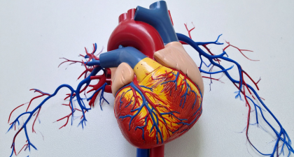 AI ECG Model, STEMI triage, Acute coronary occlusion, Artificial Intelligence in Cardiology, JACC Cardiovascular Interventions, TCT 2025, STEMI diagnosis, Cardiac Emergency, Percutaneous Coronary Intervention, Clinical Triage, False Positives, Cardiovascular AI, ECG Interpretation, Emergency Medicine, eMedEvents News