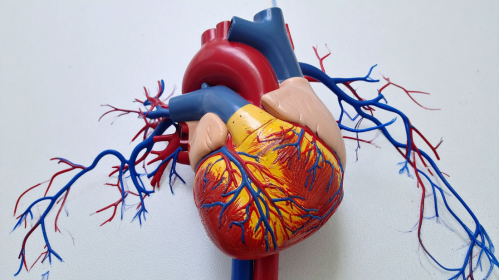AI ECG Model, STEMI triage, Acute coronary occlusion, Artificial Intelligence in Cardiology, JACC Cardiovascular Interventions, TCT 2025, STEMI diagnosis, Cardiac Emergency, Percutaneous Coronary Intervention, Clinical Triage, False Positives, Cardiovascular AI, ECG Interpretation, Emergency Medicine, eMedEvents News