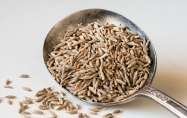 caraway, carvone, cannabinoid-analog, anticonvulsant, epilepsy, pediatric neurology, CBD-like, synthetic drug development, seizure disorders, benzodiazepines alternatives, translational neuroscience, preclinical epilepsy, CNS therapeutics, Neuropsychopharmacology, eMedEvents