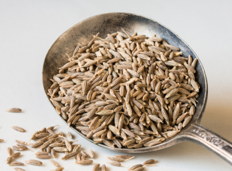 caraway, carvone, cannabinoid-analog, anticonvulsant, epilepsy, pediatric neurology, CBD-like, synthetic drug development, seizure disorders, benzodiazepines alternatives, translational neuroscience, preclinical epilepsy, CNS therapeutics, Neuropsychopharmacology, eMedEvents