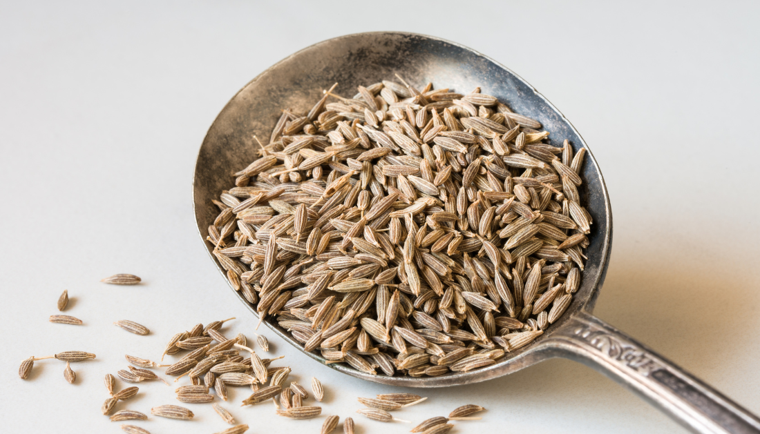 caraway, carvone, cannabinoid-analog, anticonvulsant, epilepsy, pediatric neurology, CBD-like, synthetic drug development, seizure disorders, benzodiazepines alternatives, translational neuroscience, preclinical epilepsy, CNS therapeutics, Neuropsychopharmacology, eMedEvents