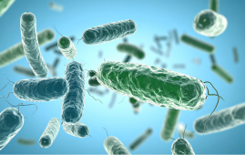 MARTi, Real-time pathogen surveillance, Metagenomics, Pathogen detection, Earlham Institute, AirSeq, Biosecurity, Clinical microbiology, Infection control, Metagenomic software, Environmental surveillance, Agricultural monitoring, Real-time metagenomics, Pathogen tracking, Open-source bioinformatics