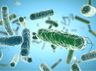 MARTi, Real-time pathogen surveillance, Metagenomics, Pathogen detection, Earlham Institute, AirSeq, Biosecurity, Clinical microbiology, Infection control, Metagenomic software, Environmental surveillance, Agricultural monitoring, Real-time metagenomics, Pathogen tracking, Open-source bioinformatics