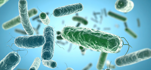 MARTi, Real-time pathogen surveillance, Metagenomics, Pathogen detection, Earlham Institute, AirSeq, Biosecurity, Clinical microbiology, Infection control, Metagenomic software, Environmental surveillance, Agricultural monitoring, Real-time metagenomics, Pathogen tracking, Open-source bioinformatics