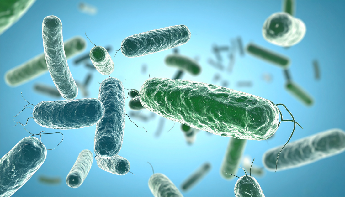 MARTi, Real-time pathogen surveillance, Metagenomics, Pathogen detection, Earlham Institute, AirSeq, Biosecurity, Clinical microbiology, Infection control, Metagenomic software, Environmental surveillance, Agricultural monitoring, Real-time metagenomics, Pathogen tracking, Open-source bioinformatics