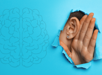 selective attention, auditory cortex, auditory neuroscience, brainstem processing, speech-in-noise, auditory attention disorders, cortical hearing, dichotic listening, diotic listening, neural auditory pathways, otolaryngology research, cortical amplification, human auditory system, selective hearing, cortical processing of attention