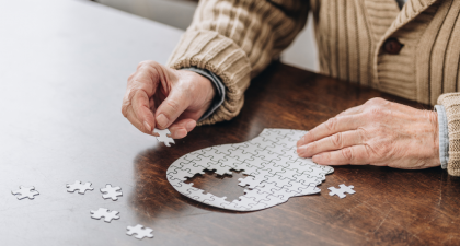 traumatic brain injury, TBI in older adults, dementia risk, fall prevention, geriatric care, home care, long-term care, aging population, senior health, cognitive decline, brain injury research, public health, geriatrics, patient safety, community programs