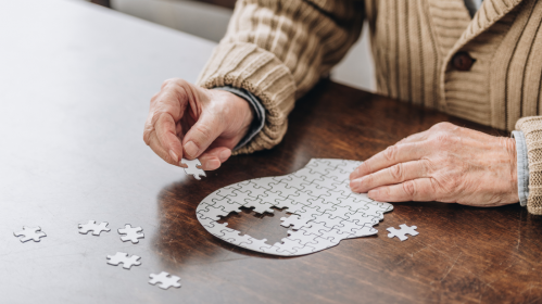 traumatic brain injury, TBI in older adults, dementia risk, fall prevention, geriatric care, home care, long-term care, aging population, senior health, cognitive decline, brain injury research, public health, geriatrics, patient safety, community programs