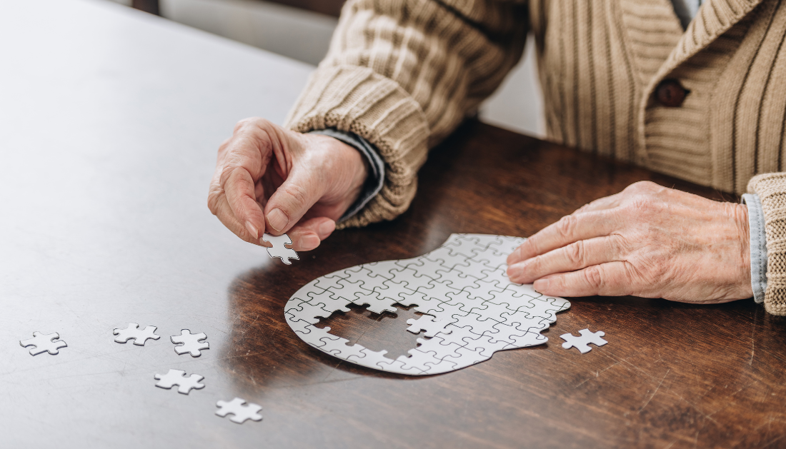traumatic brain injury, TBI in older adults, dementia risk, fall prevention, geriatric care, home care, long-term care, aging population, senior health, cognitive decline, brain injury research, public health, geriatrics, patient safety, community programs