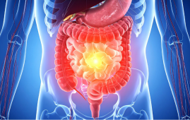 Gut immune cells, IgA immunity, mucosal immunity, respiratory viruses, oral vaccines, rotavirus model, avian influenza vaccine, immunology research, antibody response, vaccine development, SARS-CoV-2 immunity, flu vaccine research, microbiome and immunity, B-cell response, T-cell response.