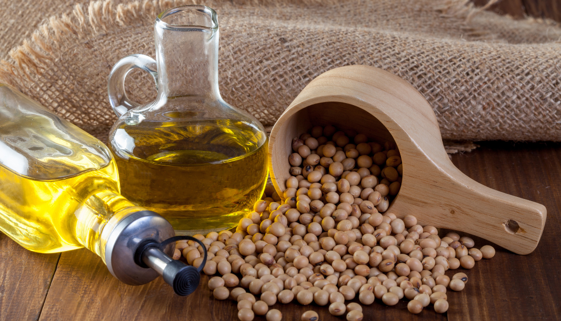 soybean oil, linoleic acid, oxylipins, obesity, metabolic health, liver metabolism, HNF4α, mitochondrial function, inflammation, high-fat diet, processed foods, cholesterol, fatty acids, metabolic stress, weight gain