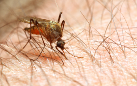 malaria prevention, malaria messaging, insecticide-treated nets, biostatistics research, Africa public health, Uganda malaria data, SSACAB, propensity score matching, causal evidence, healthcare communication, HCP education, malaria indicator survey, public health statistics, African Statistics Day, community health workers