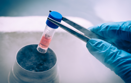 Allogeneic Stem Cell Transplants