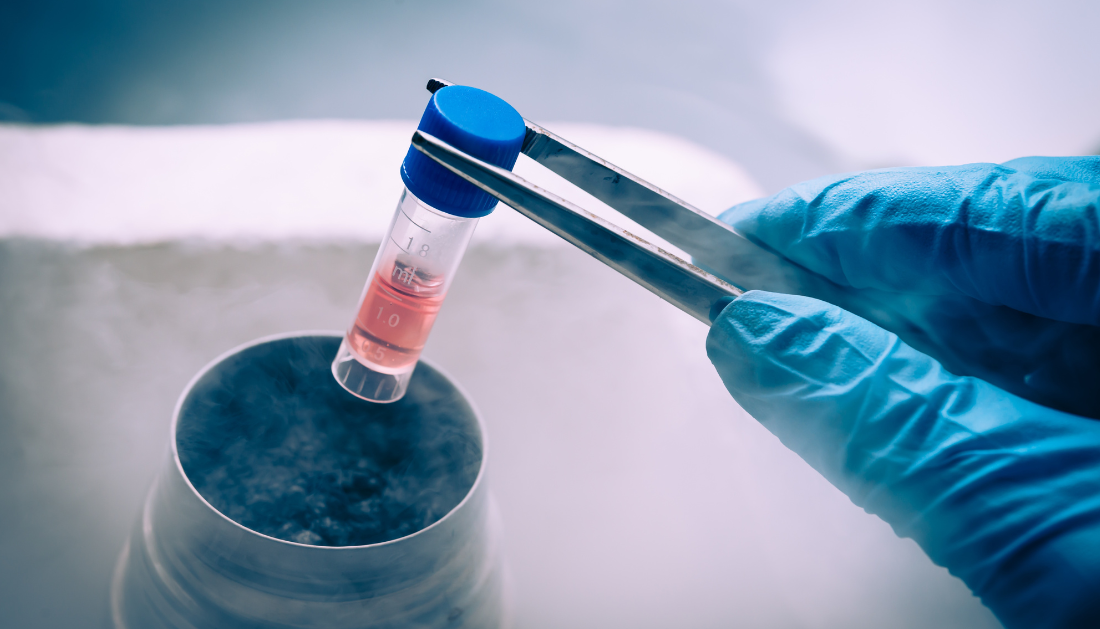 Allogeneic Stem Cell Transplants