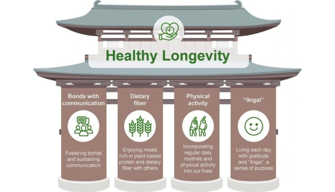 Healthy Longevity, Longevity Research, Aging Biology, Epigenetic Aging, Autophagy Pathways, Gut Microbiome, Healthy Aging, Life Expectancy, Longevity Summit, Clinical Geroscience, HCP News, Aging Interventions, Plant-Based Diet, Social Health, Community Aging Models