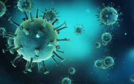 Glioblastoma, Engineered Herpes Virus, HSV-1 Immunotherapy, Oncolytic Virus, Neuro-Oncology, Brain Tumor Treatment, Immunotherapy Research, T-Cell Activation, Tumor Microenvironment, Nature Cancer Study, Mass General Brigham, HCP News, Clinical Research Updates, Neuroimmunology, Cancer Immunotherapy