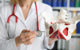 Pelvic Floor Disorders, Women’s Health, Urology, Pelvic Floor Therapy, Urinary Incontinence, Vaginal Prolapse, HCP Education, Multidisciplinary Care, Health Disparities, Female Pelvic Medicine, women’s health, female pelvic medicine, urology, urogynecology, cultural barriers, Latina women health, bladder urgency, bowel dysfunction, patient education