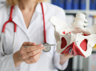 Pelvic Floor Disorders, Women’s Health, Urology, Pelvic Floor Therapy, Urinary Incontinence, Vaginal Prolapse, HCP Education, Multidisciplinary Care, Health Disparities, Female Pelvic Medicine, women’s health, female pelvic medicine, urology, urogynecology, cultural barriers, Latina women health, bladder urgency, bowel dysfunction, patient education