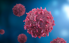 Silica nanomatrix, Cancer immunotherapy, Solid tumors, Dendritic cell therapy, DC vaccines, Oncology research, T-cell activation, Tumor immunity, Ex vivo cell therapy, Biocompatible nanomaterials, ex vivo cell culture, oncology innovation, immune memory, chemotherapy alternatives, autoimmune immunotherapy, clinical translation, oncology nursing