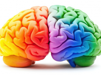 Spatial Computing, Neuroscience Research, Cognitive Science, Prefrontal Cortex, Brain Waves, Alpha Oscillations, Beta Waves, Working Memory, Neural Activity, Medical Research News, neural oscillations, working memory tasks, cognitive control, brain wave regulation, neuroscience research news, executive function brain, sensory processing neurons, EEG cognition studies, MIT brain research, neural self-organization, cognitive flexibility, medical neuroscience